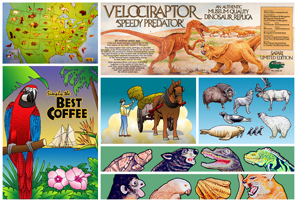 Animals Illustrations