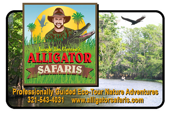 Alligator Safaris
